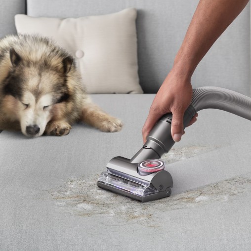 Пылесос Dyson Ball Animal 3 Complete проводной